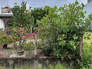 Bán đất tại kiệt lưu quang vũ, phường hòa quý, ngũ hành sơn, đà nẵng