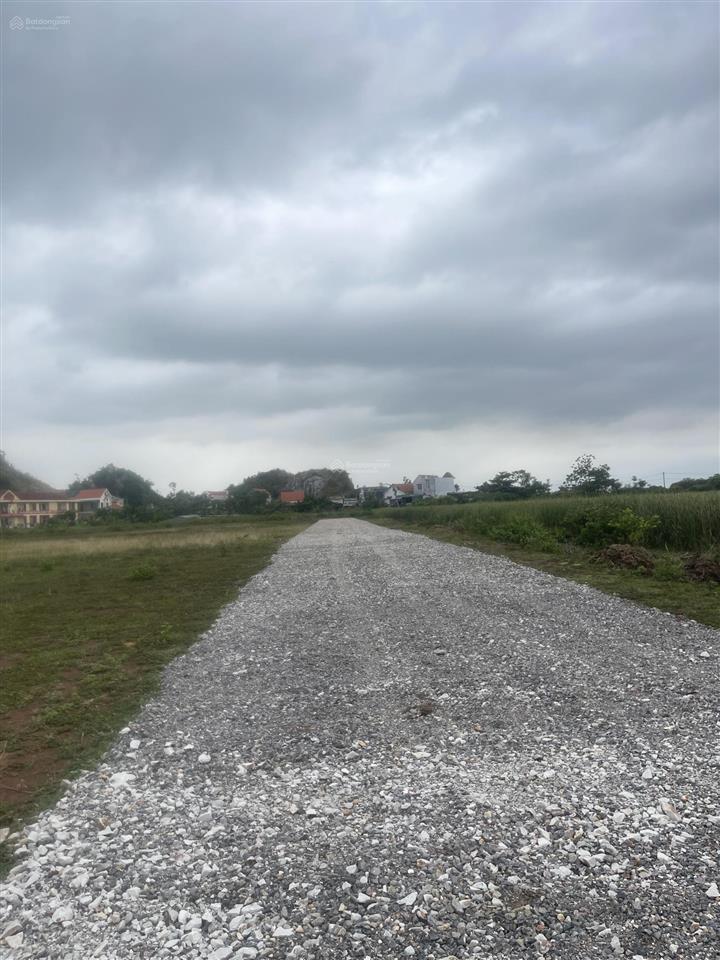 Đất đấu giá phân lô đầm rùa hoàng tân hà an trục thông vinhomes hạ long xanh