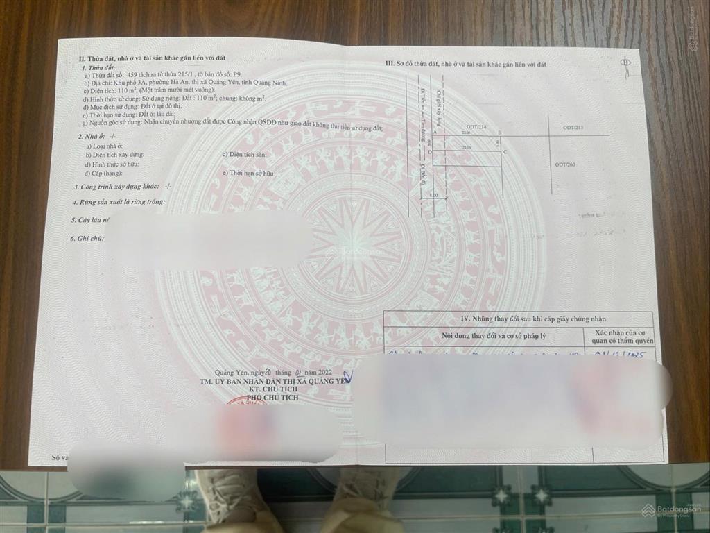 Trục hồng phong khu 12 hà an trục thông vinhomes hạ long xanh