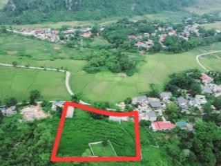 Chủ cần tiền bán gấp 5250 m2 liên sơn, lương sơn, hoà bình
