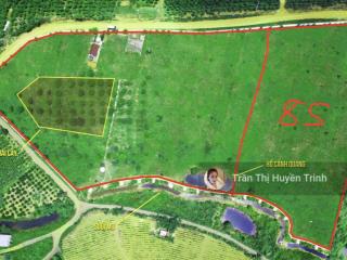 Đất rộng ôm suối vị trí cực đẹp ngay chùa di đà, giá cực mềm cho nhà đầu tư đón đầu cao tốc bảo lộc