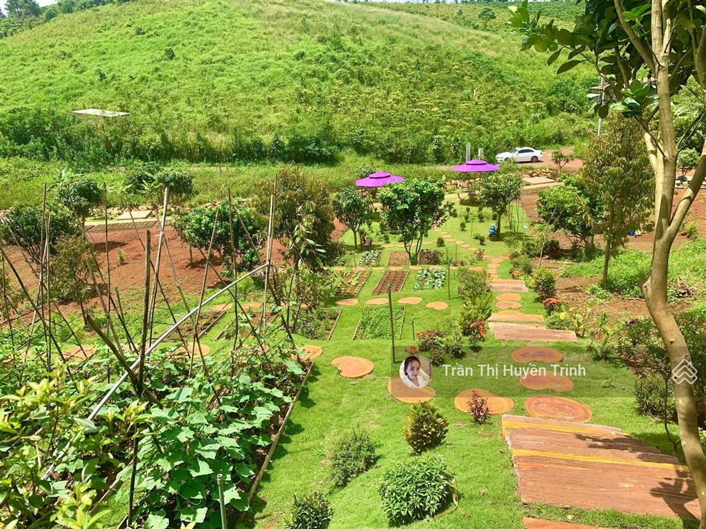 Đất rộng ôm suối vị trí cực đẹp ngay chùa di đà, giá cực mềm cho nhà đầu tư đón đầu cao tốc bảo lộc