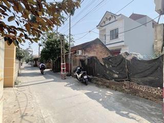 Bán đất lai cách  xuân giang  sóc sơn vị trí siêu hót, đẹp từ ngõ vào đất