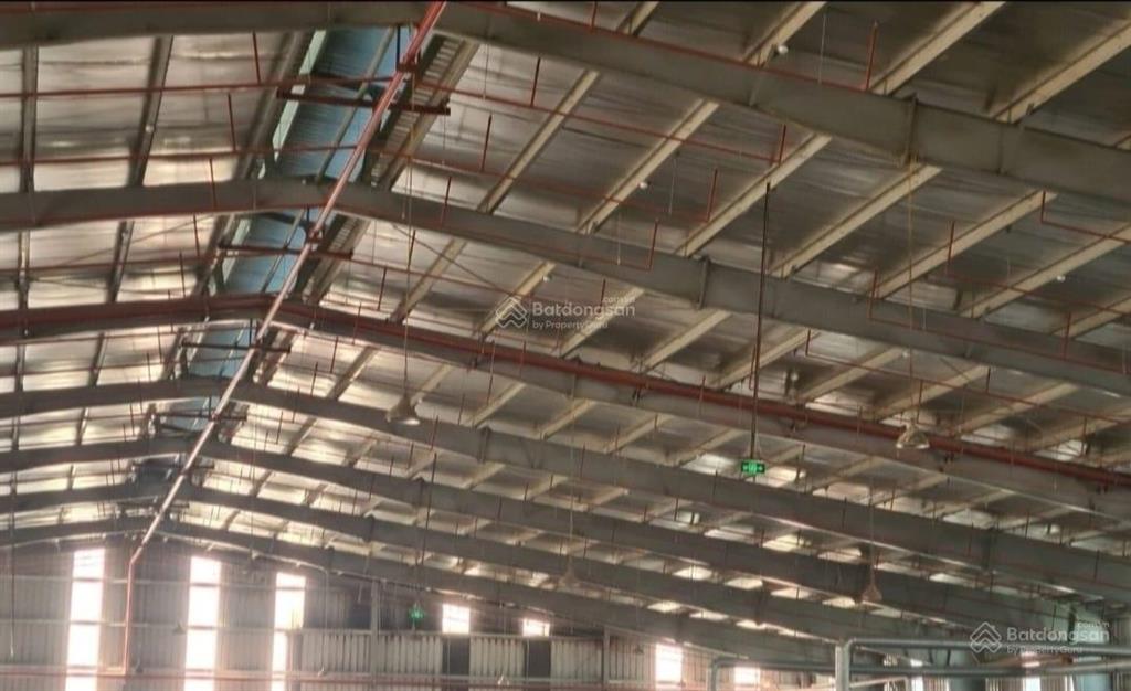 Ccn an khánh, 12.000m2 (nhiều diện tích), pccc nghiệm thu, cao 12m, xe cont vào, xuất vat