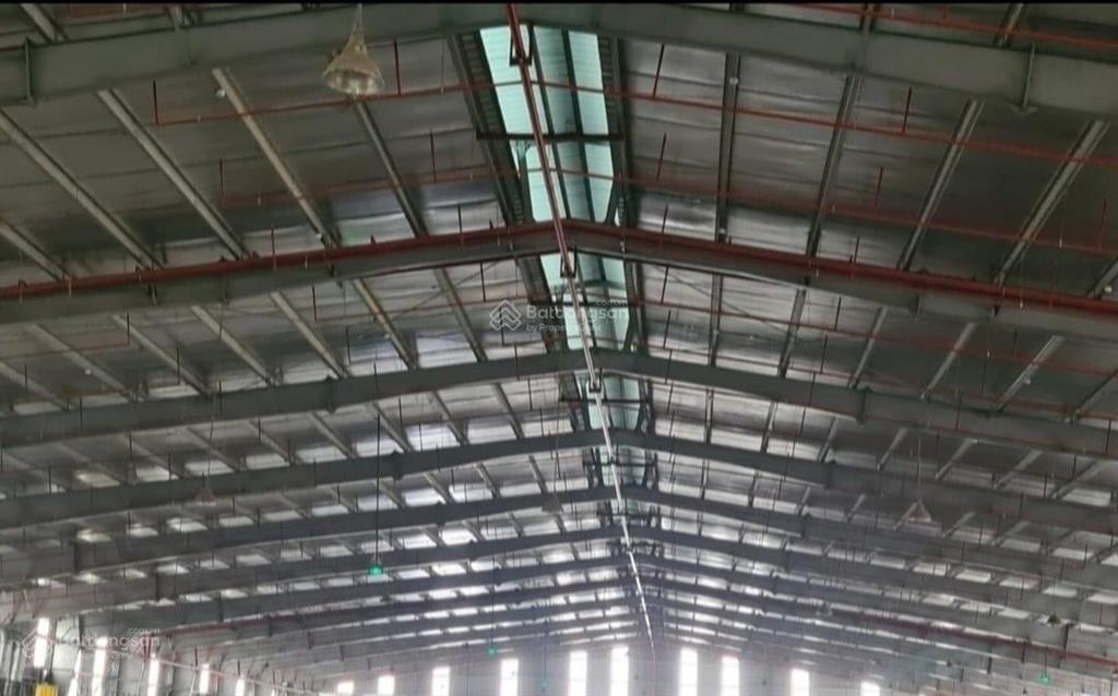 Ccn an khánh, 12.000m2 (nhiều diện tích), pccc nghiệm thu, cao 12m, xe cont vào, xuất vat