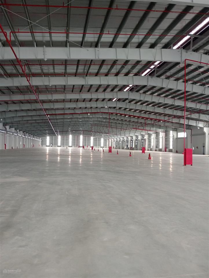 Kho xưởng cảng hà nội, tổng diện tích 10.000m2 có cắt nhỏ, pccc chuẩn, cao 12m, cont vào, xuất vat