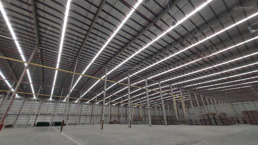 Kho xưởng kcn mỹ thuận. fdi/epe, 30.000m2 (đa dạng diện tích), pccc tự động, miễn thuế, cao 14m