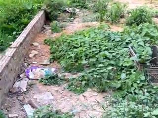 SỞ HỮU NGAY ĐẤT ĐẸP - GIÁ TỐT - Vị Trí Đắc Địa Tại Thôn Đồng Lư, Xã Đồng Quang, Huyện
