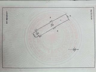 Bán đất tặng nhà hoàng xuân nhị tân phú