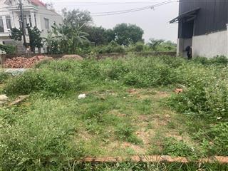 Cơ hội tốt cho nhà đầu tư hoặc mua ở 42m2 full. tại hương đình  mai đình