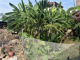 Cơ hội cực tốt để bạn đầu tư .233m .đất phân lô quá ổn .tân minh sóc sơn hà nội