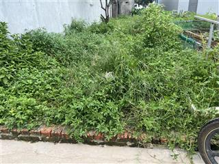 92m2 gần đường võ nguyên giáp song mai  mai đình. giá tốt cho nhà đầu tư