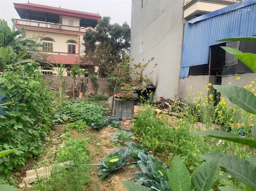 Lô đất diện tích to ,giá rất tốt để mua ở hoặc đầu tư .116m full lạc nông mai đình .