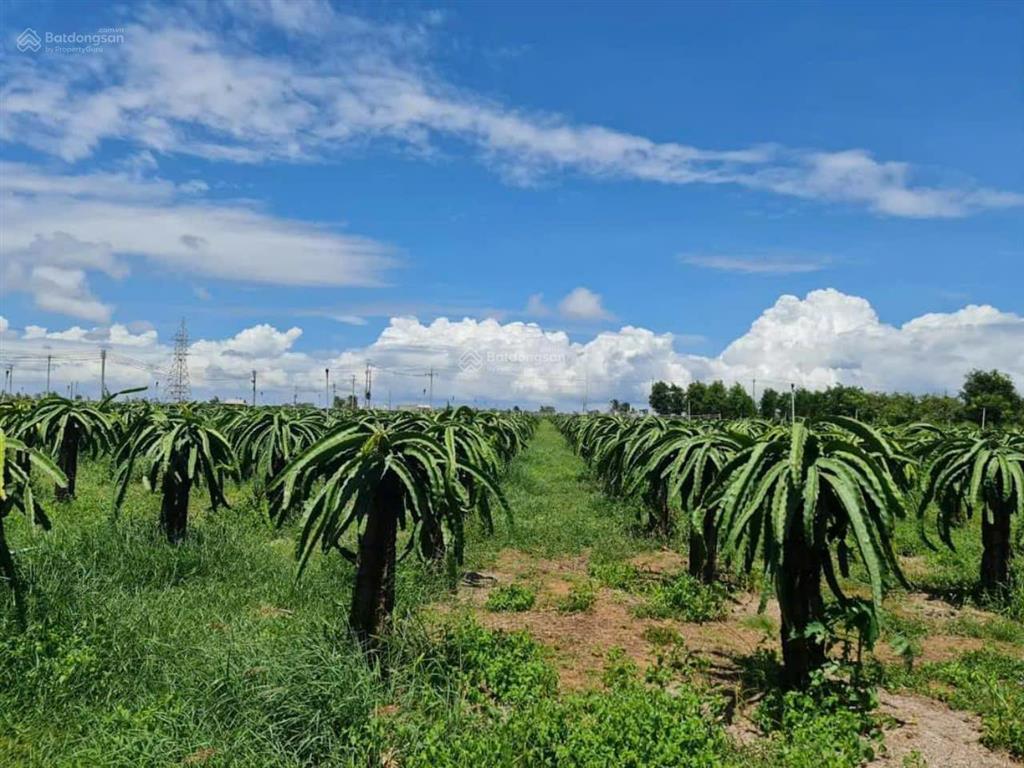 Bán đất trống gần nova world phan thiet diện tích hơn 4ha2