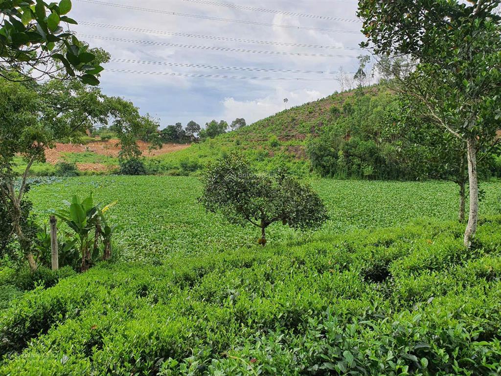 Bán đất nhà vườn view đẹp giá đầu tư lãi ngay khi mua