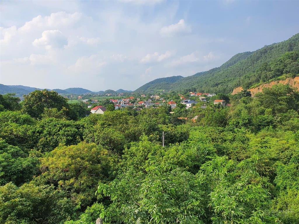 Chính chủ gửi bán 2200m2 đất gần hồ, view đẹp giá rẻ 7 tr/m2