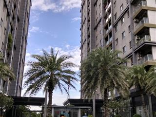 Docklands quận 7 nơi an cư lý tưởng, bình yên giữa lòng thành phố