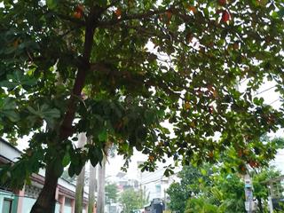 Nhà phố siêu đẹp 4 tầng  hẻm xe tải thông kd  trung mỹ tây tphcm  76m2 chỉ 6.8 tỷ