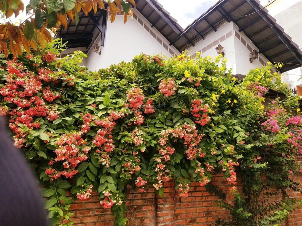 Bán nhà 2 tầng mặt tiền đường trần tấn. giá tốt mua để ở và đầu tư