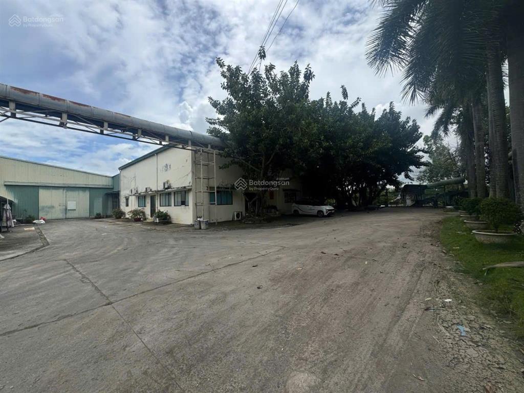 Cho thuê kho xưởng thanh bình  đồng tháp