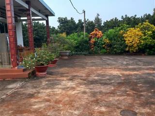Bán làm xưởng 2 mẫu đường sông xoài cù bị, thành phố cảng phú mỹ, giá 25 tỷ giá quá tốt