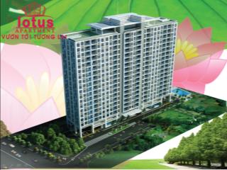 Cho thuê gấp chcc hoa sen , dt 64m2 , 2pn 2wc , nội thất cơ bản , giá 11tr/th q.11