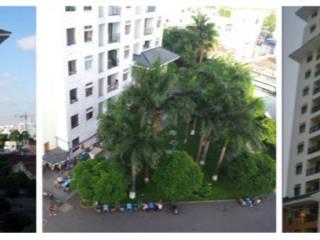 Bán gấp c/c 312 lạc long quân q.11, dt 65m2, 2pn+2wc, giá 3,1 tỷ đã có sổ hồng riêng