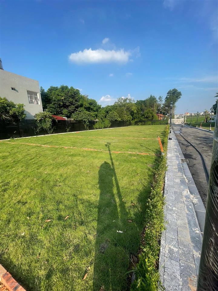 Bán lô biệt thự view hồ đồng quan