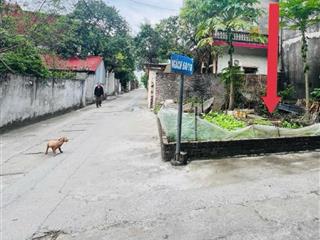 Nam hồng  đông anh  60m2  lô góc  thông  vị trí cực kỳ tuyệt vời  ô tô tải vào đất chỉ 3,8 tỷ