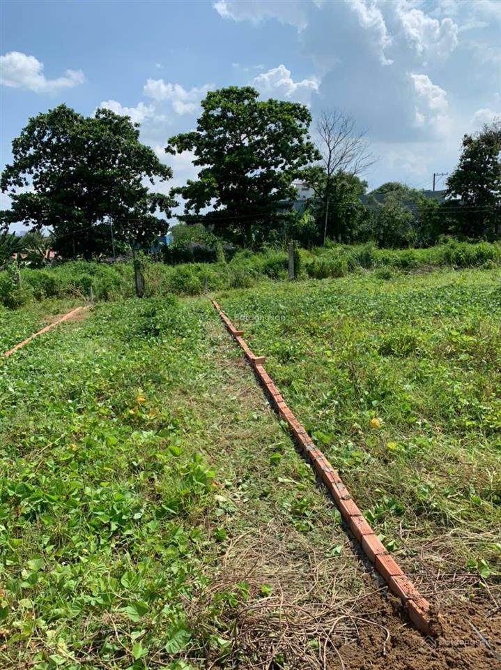 Bán lô đất ngay khu dịch lịch sơn tiên, phường an hoà, tp biên hoà, đồng nai, giá 1,379 tỷ đồng