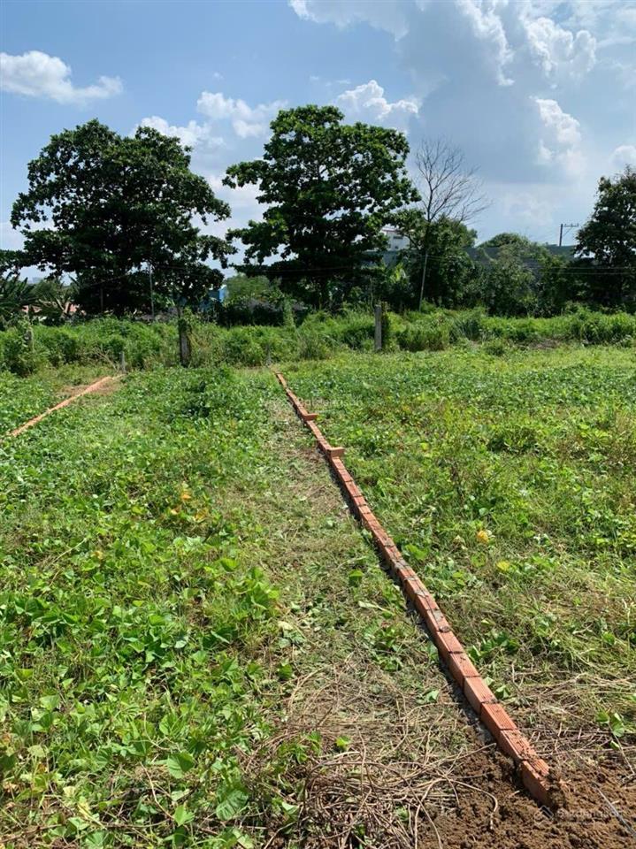 Bán lô đất ngay khu dịch lịch sơn tiên, phường an hoà, tp biên hoà, đồng nai, giá 1,379 tỷ đồng