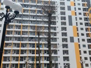 Sở hữu ngay căn 2 pn góc tại chung cư evergreen tràng duệ chỉ với 30% gthđmb (285tr)