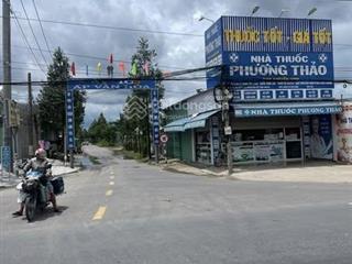 Chính chủ cần bán gấp vườn dừa 3000m2 bến lức