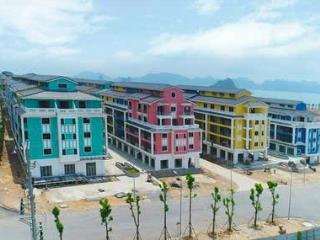 Chỉ từ 6.5 tỷ sở hữu nhà phố, biệt thự nghỉ dưỡng tại đặc khu vân đồn, pháp lý hoàn chỉnh