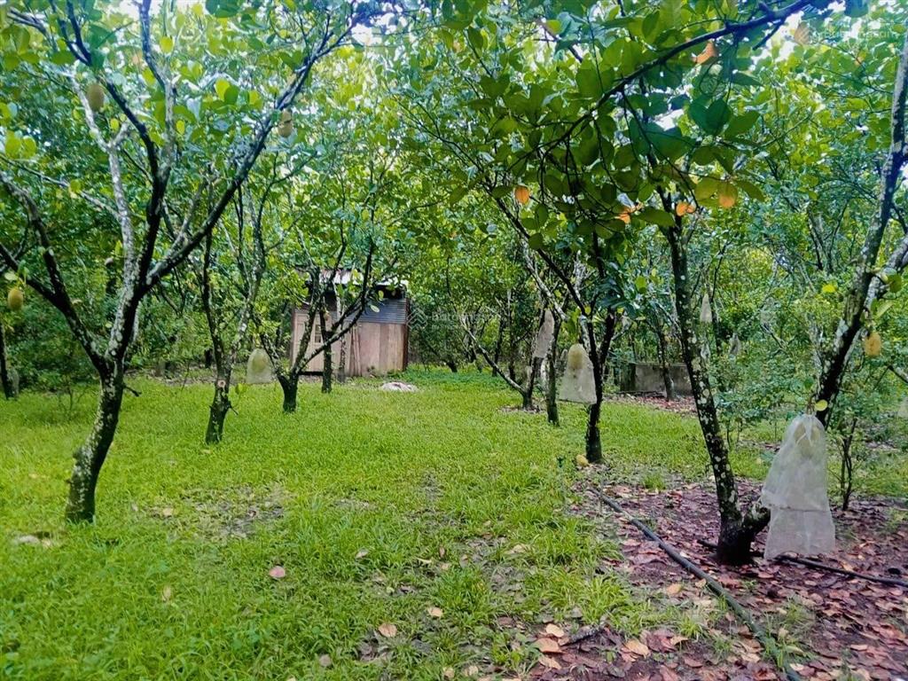 Bán đất mt ql 1a, thành phố long khánh,240 tỷ, 3,1ha, giá siêu hời chỉ với cơ hội đầu tư tuyệt vời