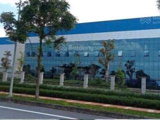 Cho thuê shophouse đẹp xuất sắc tại kcn đồng văn ii, giá chỉ từ 165,200 nghìn vnd/m2/th, 1.600m2