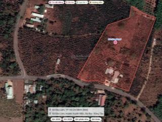 Bán đất mặt tiền 104m, bàu lâm, xuyên mộc, bà rịa vũng tàu, 1 triệu / m2, 13540 m2
