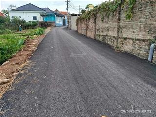 Bán đất ba vì thôn tông lệnh, tòng bạt | 234m² đất ở + cây lâu năm đất đẹp, sổ rõ ràng