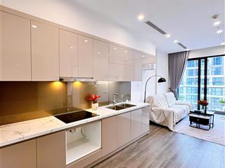 Siêu hot chính chủ bán 2pn  1vs  54.5m2, 3 tỷ 340 vinhomes smart city, chỉ bán trong tuần này!