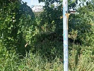 Sỡ hữu ngay 504m2 đất vườn mặt tiền đường nhựa bùi văn sự chỉ 2,5 tỷ