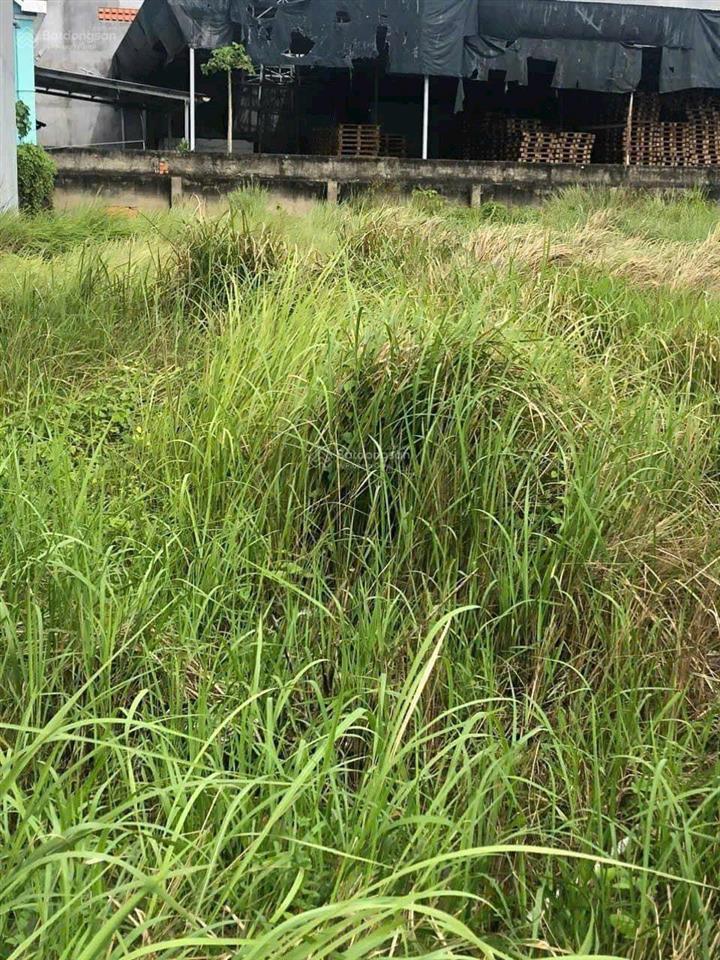 Chính chủ cần bán gấp  vị trí đẹp