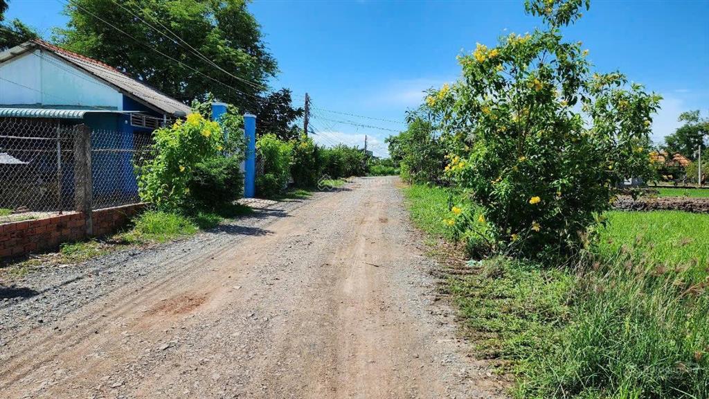 Chính chủ bán lô đất 167m2 full thổ mặt tiền đường liên xã tân lân và phước tuy, cần đước