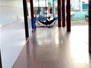 Nhà mặt tiền đường 12m nguyễn quý yêm, p.an lạc, bình tân dt 432m2 12,5x35 nhà cấp 4 tiện xây mới