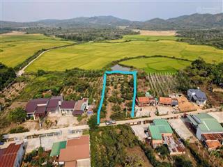 Vị trí đắc địa xã eahu huyện cư kuin đắk lắk diện tích rộng 1.210m2  thổ cư 400m2