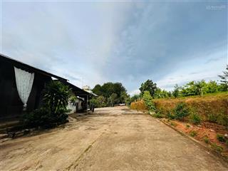 Siêu phẩm vườn trái cây  giáp hồ tại huyện đak hà  kontum hơn 30.000m2  200m mặt tiền bám đường