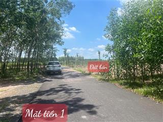 Đất tp. hồ chí minh cách biển chỉ 20km  giá ngộp lắm ạ! xuyên mộc, bà rịa vũng tàu có 2 mặt tiền