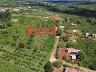 Dak đoa  gia lai 1000m2 sẵn 100m2 thổ cư 365 triệu