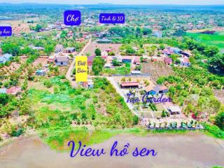 View hồ sen đẹp tại xã eahu, huyện cư kuin, dak lak
dt 15x52m tc 150m2
mặt tiền đường bê tông,