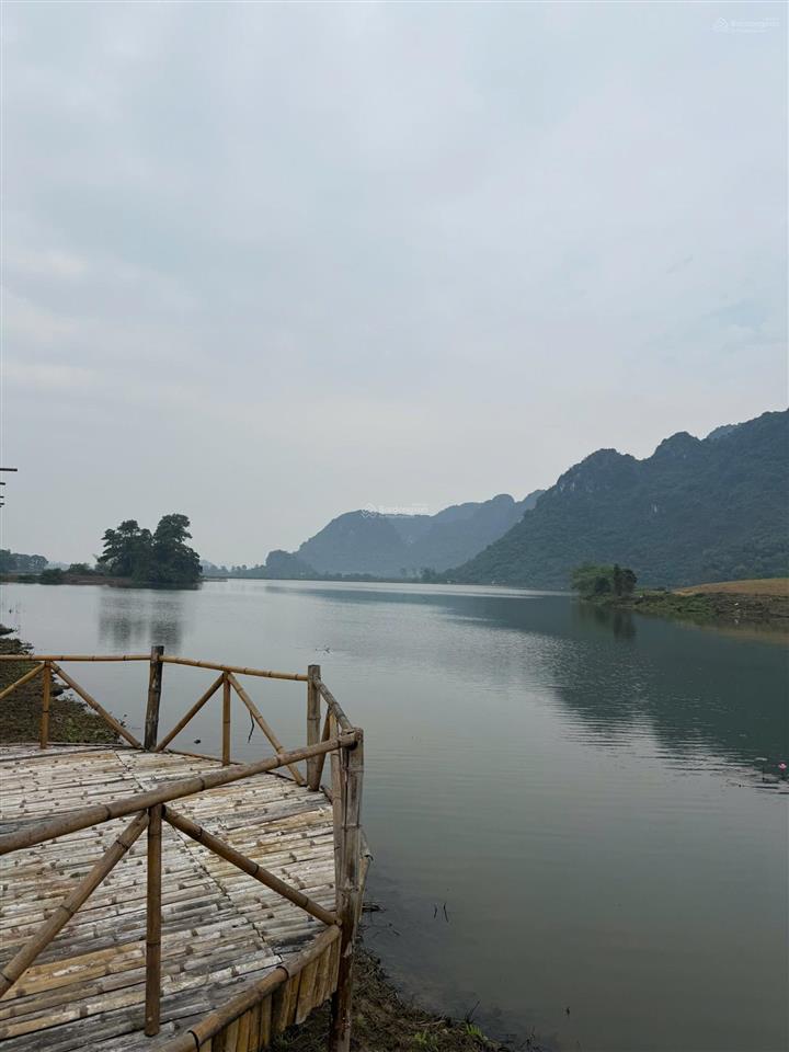 Chỉ 60 phút từ hà nội dòng tiền 120 triệu/tháng! sổ đỏ lâu dài một trong rất ít dự án nghỉ dưỡng t