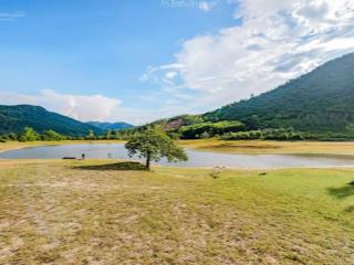 Cơ hội đầu tư đất nghỉ dưỡng  mô hình nông nghiệp sạch 2ha ngay hồ dư thọ  tây sơn bình định